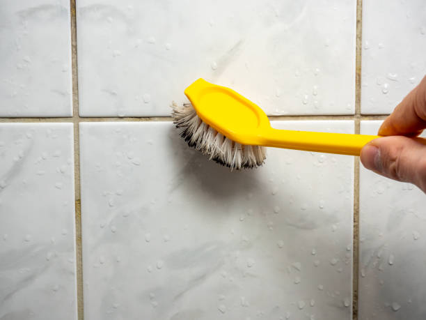 Best Fast Mold Removal  in Iyanbito, NM