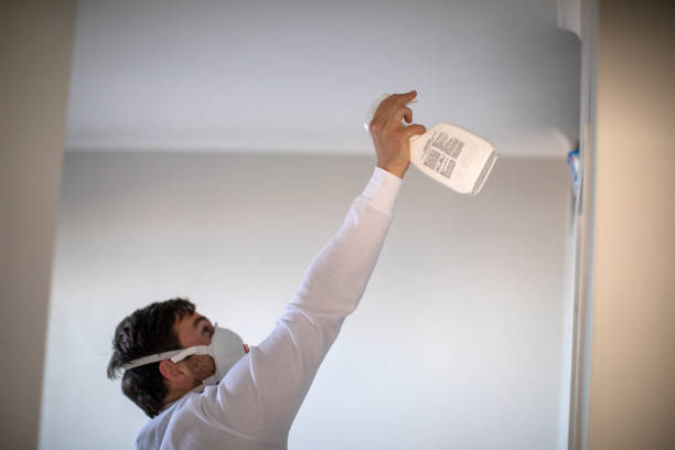 Best Mold Removal Near Me  in Iyanbito, NM