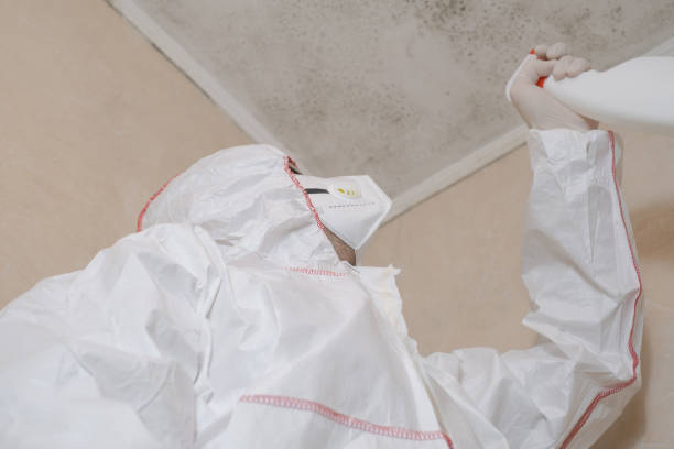 Best Mold Testing  in Iyanbito, NM