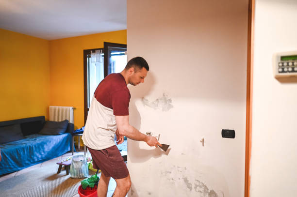 Best Same-Day Mold Removal  in Iyanbito, NM