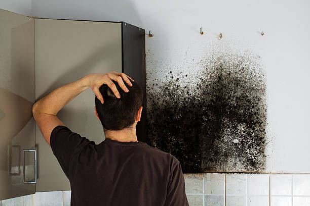 Best Home Mold Removal  in Iyanbito, NM